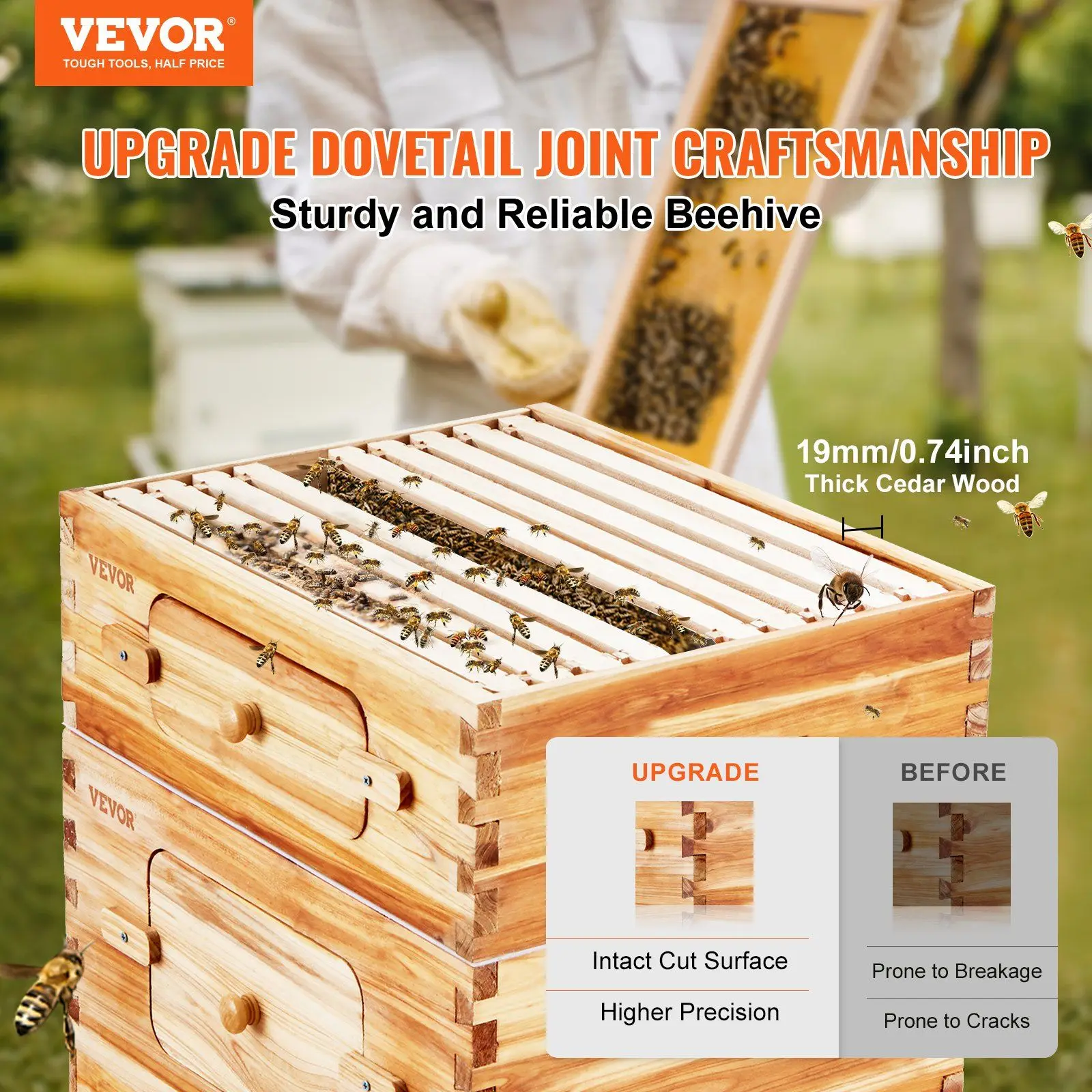 NEW Bee Hive 40 Frame Bee Hives Starter Kit Beeswax Coated Cedar Wood 2 Deep + 2 Medium Bee Boxes Langstroth Beehive Kit Tr