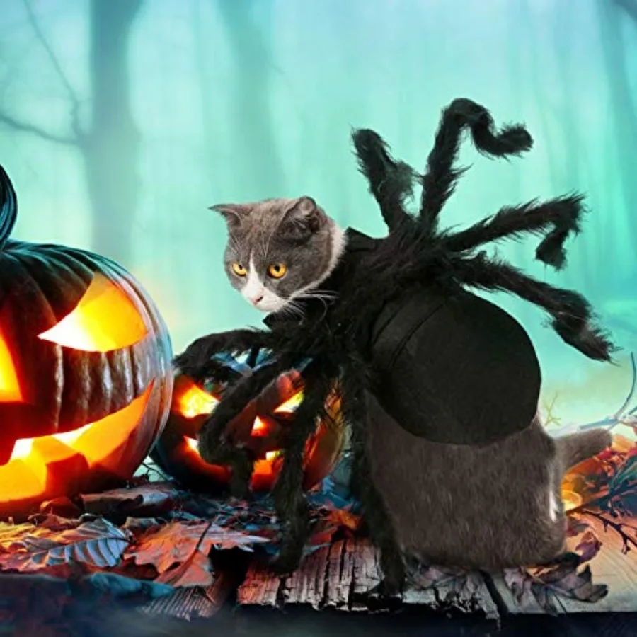 Halloween Spider Pet Costume 2