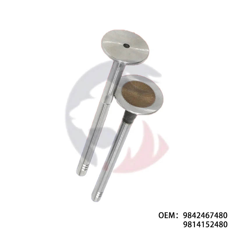 9842467480 9814152480 is suitable for P-eugeot 3008 2008 C-itroen C3 exhaust and intake valves