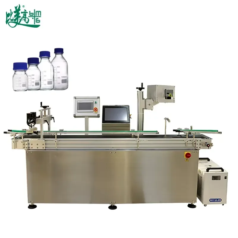 High-Speed Dairy Bottle Conveyor: Integrated Coding, Accurate Positioning & Continuous Operation for Efficient Packaging