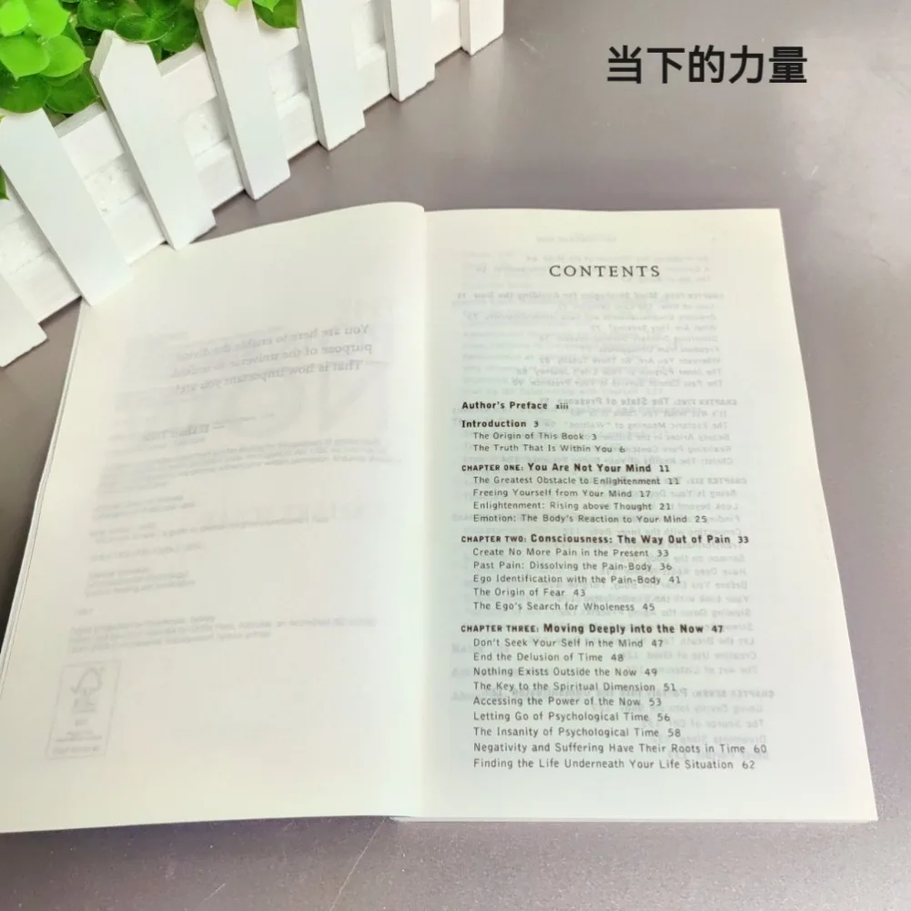 قوة الآن بقلم Eckhart Tolle دليل للتنوير الروحي كتاب اللغة الإنجليزية