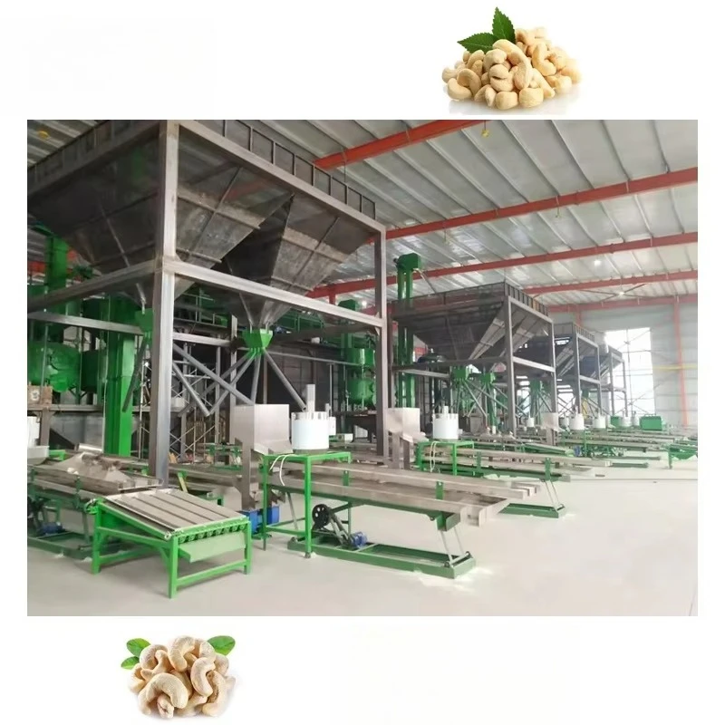 Complete Cashew Processing Factory Automatic Cashew Nut Sorting Machine