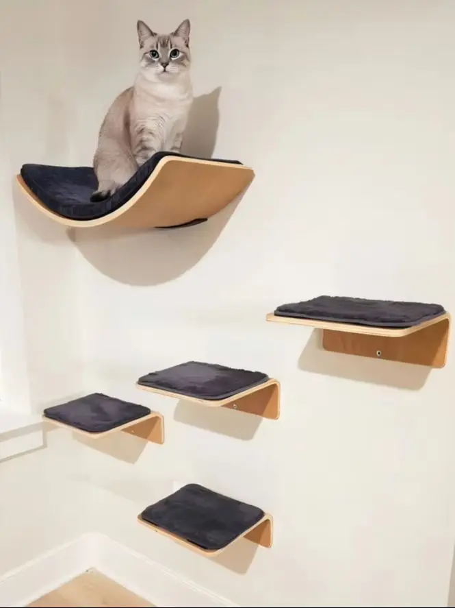 Rascador de pared para gatos – fácil instalación y ahorro de espacio - imagen 2