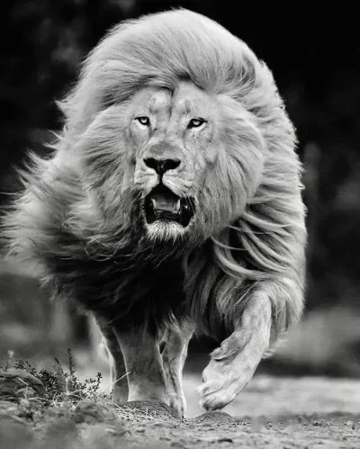 2Pcs Steel Steering…