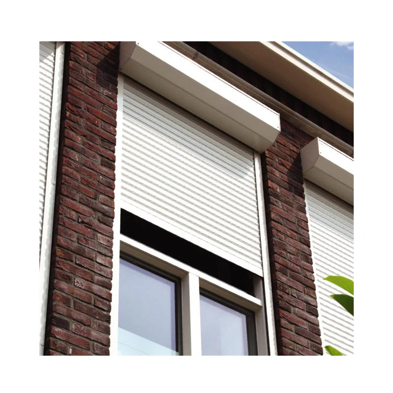 Motorized Roller Blinds Roller Shutter Market External Aluminium for Australian and European Powder Coating Modern Customizable