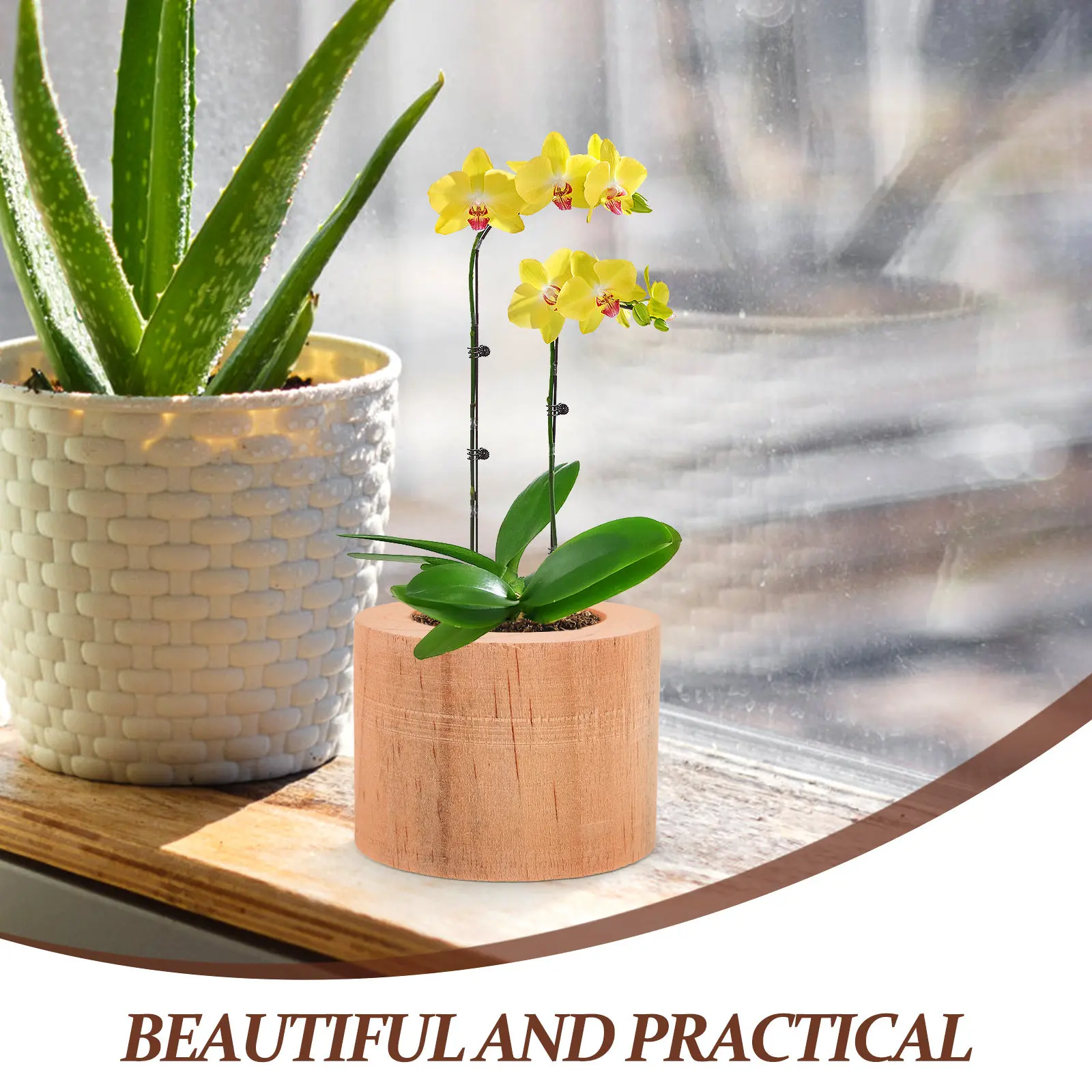6Pcs Rustic Wooden Flower Pots Small Planter Boxes Indoor Outdoor Succulent Plant Holders for Home Office Garden