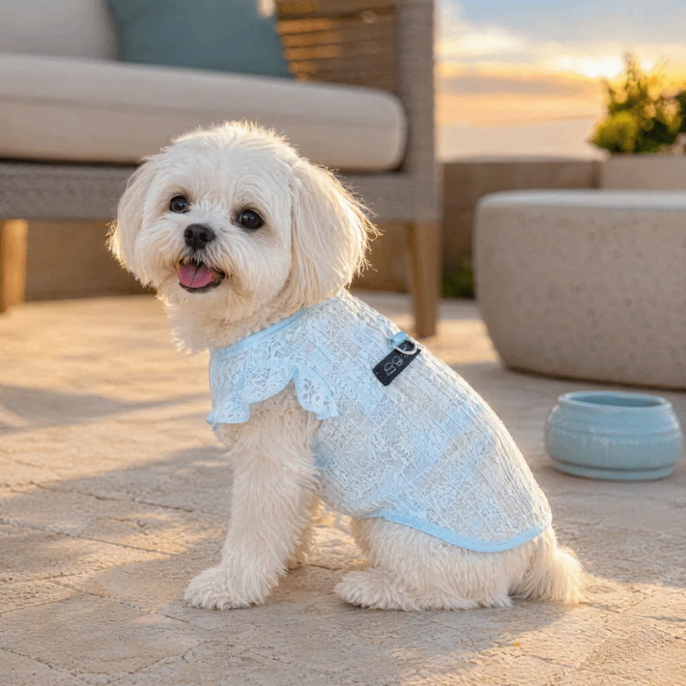 Heat Dissipation Thin Mesh Hollow Out Pet Clothes Breathable Fly Sleeve Cat Apparel Sun Protection Pet Tank Top Summer Outdoor
