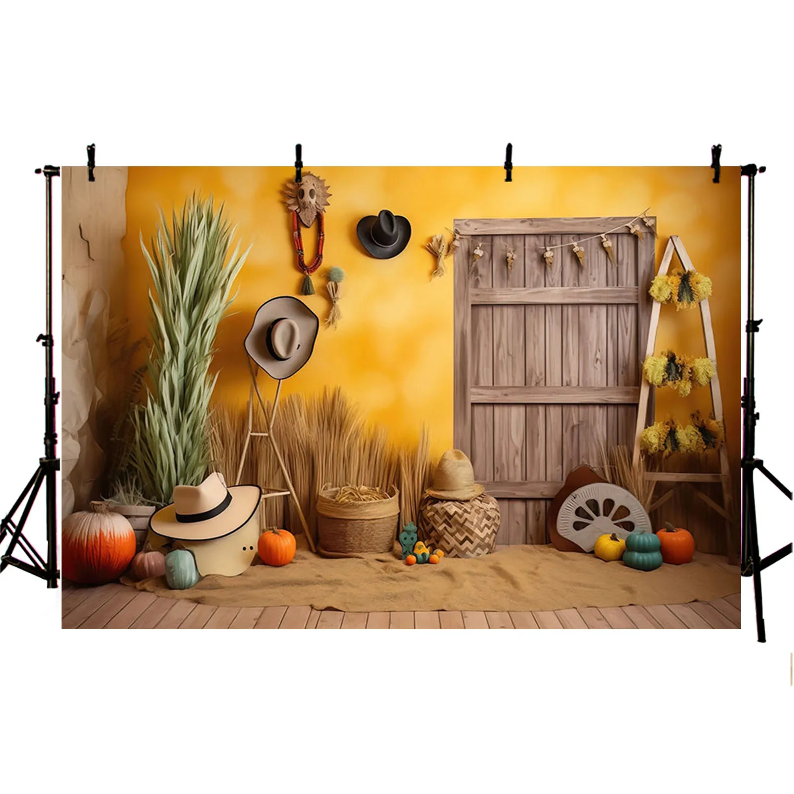 Mexican Western Desert Saguaro Cactus Photography Backdrop Guitar Birthday Party Decor Background Kids Portrait Photozone