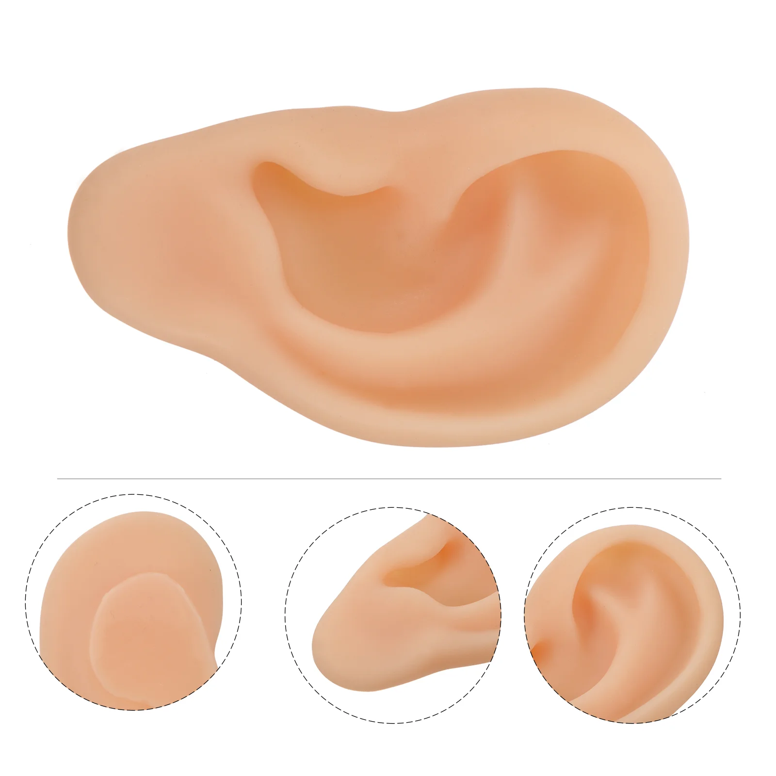 

Silicone Ear Model for Teaching Simulation Human Presentation Medical Models Mold