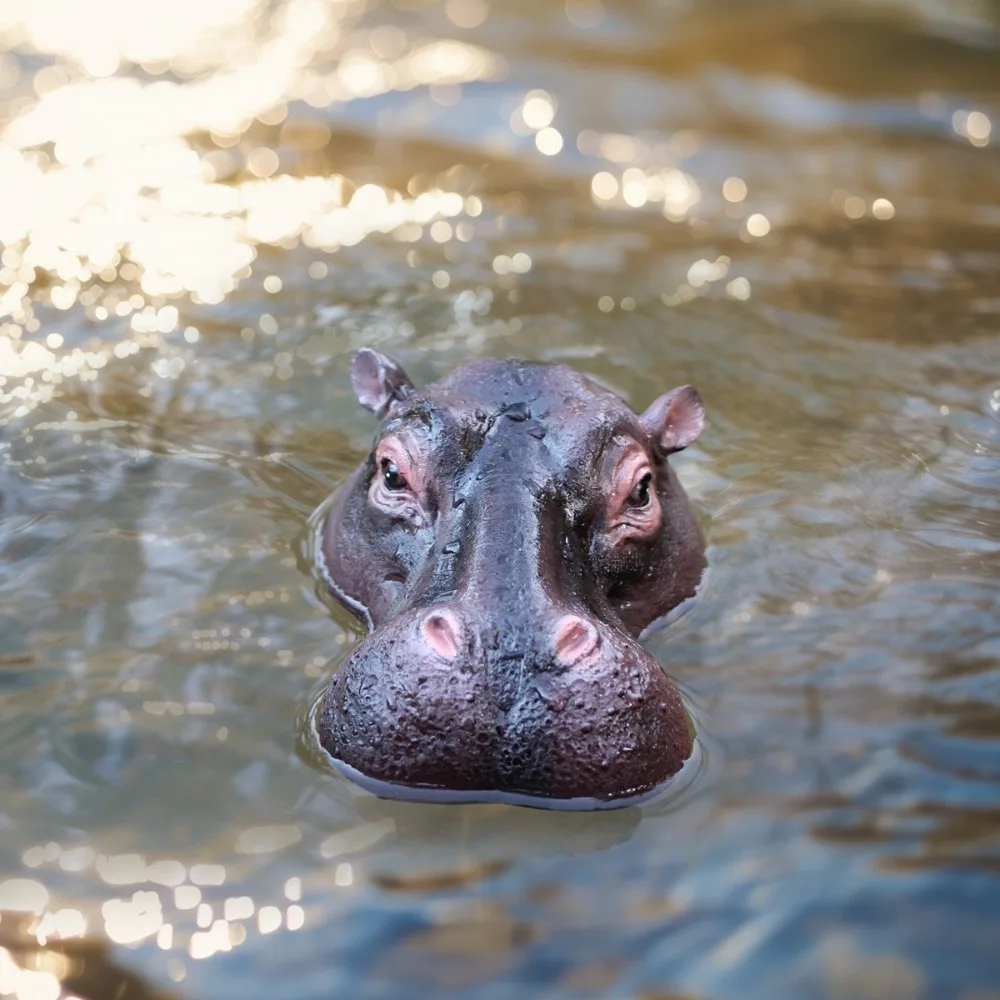 

Funny Floating Hippopotamus Ornaments Handmade Resin Craft Pond Floating Hippopotamus Head Lifelike Animal Figurines Decoration