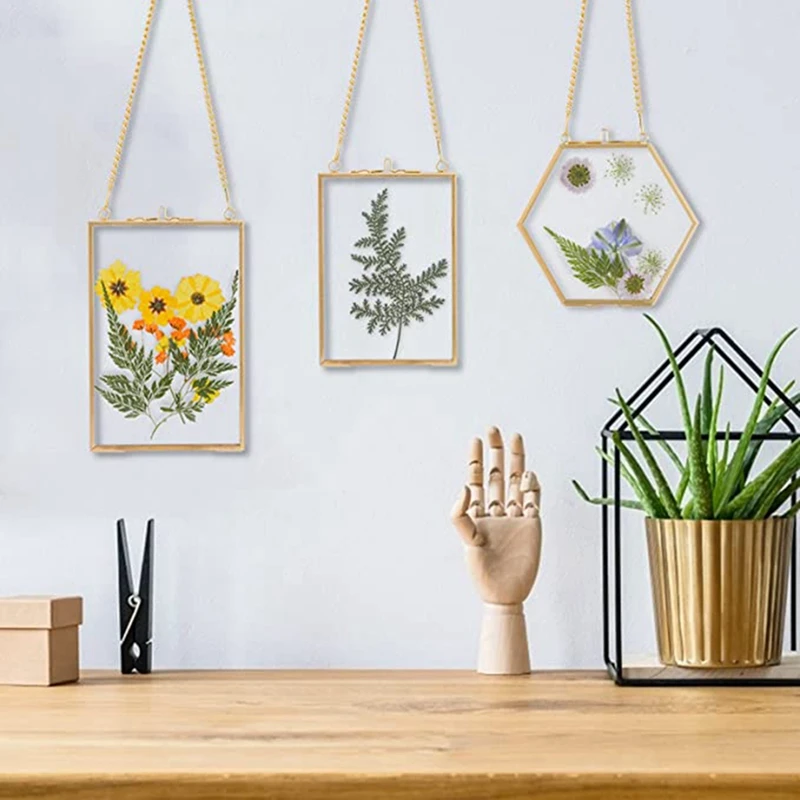 Dourado pendurado molduras de vidro com corrente, pressionado flores, DIY Artwork Display, 6 Packs