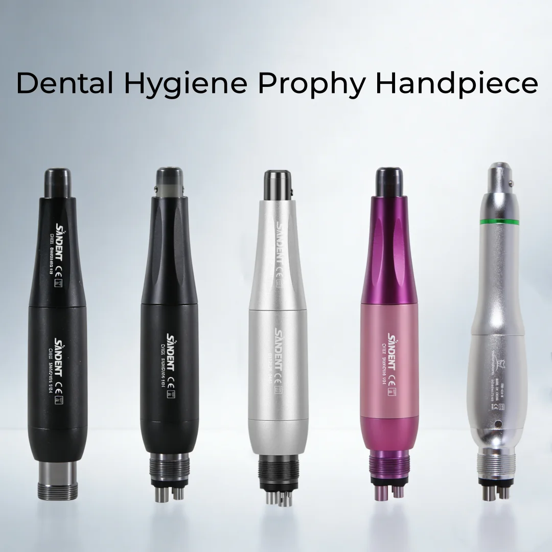 360° Swivel Dental 4:1 Hygiene Prophy Handpiece 2/4 Holes Air Motor Straight Nose Cone/Disposable Prophy Angles
