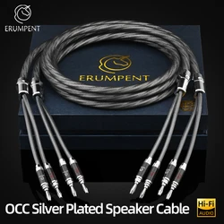 ERUMPENT One Pair HiFi Silver-plated Speaker Cable High Purity OCC Speaker Wire With Banana Plug For HiFi System Amplifier Cable