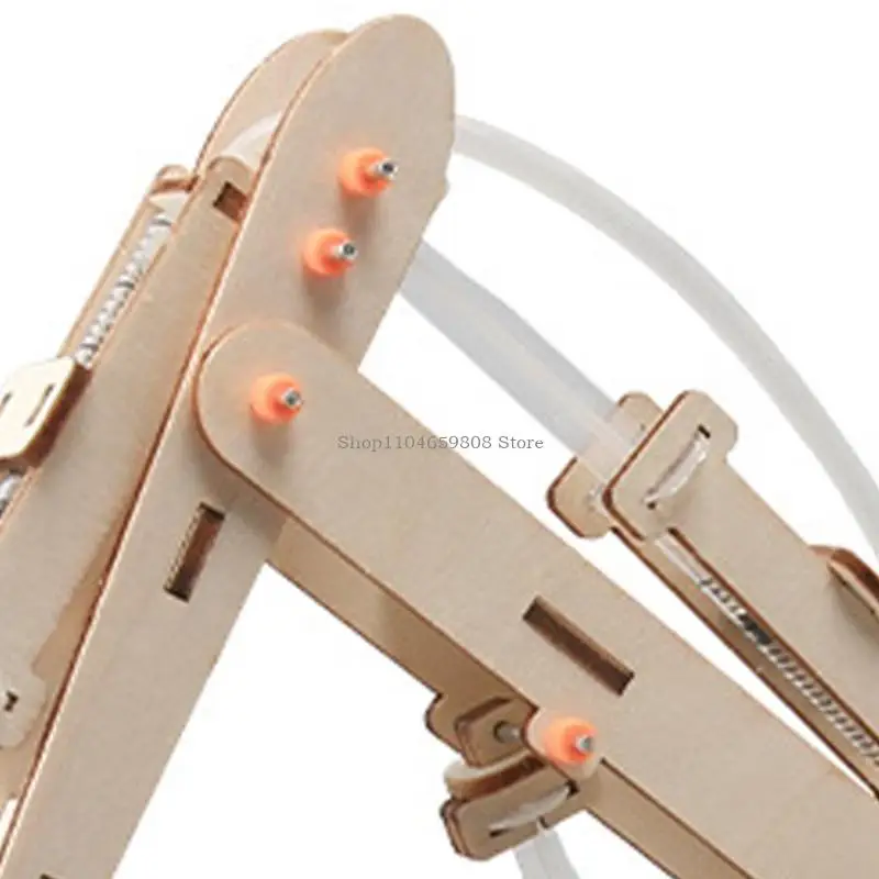 

Education Hands on Assembly Wooden Excavator Model Building Toy for Kid Student