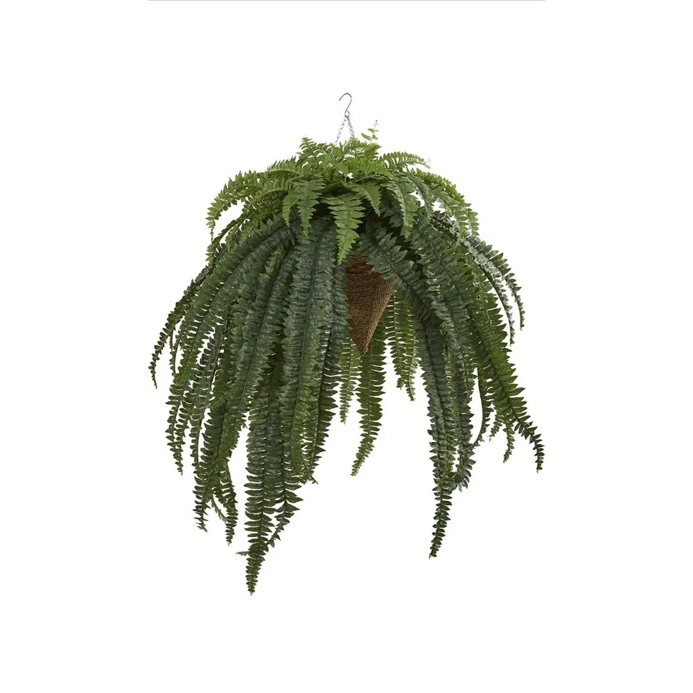 

50” Giant Boston Fern Plant in Hanging Cone Basket Home Decor.