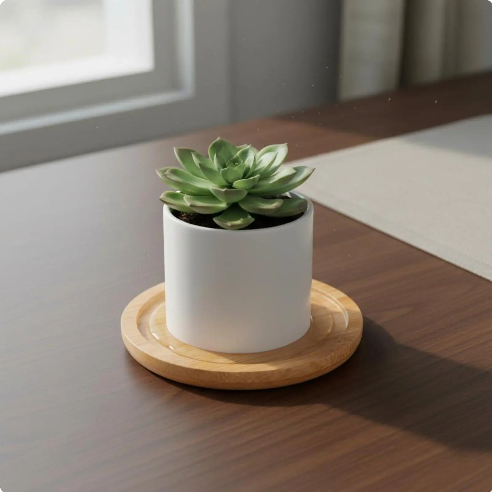 Bamboo Waterproof Industrial Tray Elevated Plant Pot Rectangular Flower Pot Plastic for Office Window Sill