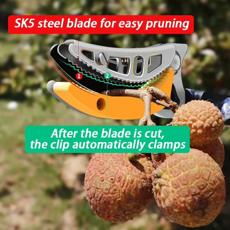 Height Telescopic Fruit Picker Loquat Berry High Tree Fruit Collector Picking Tool Multifunction Collect Picker Garden Supplies