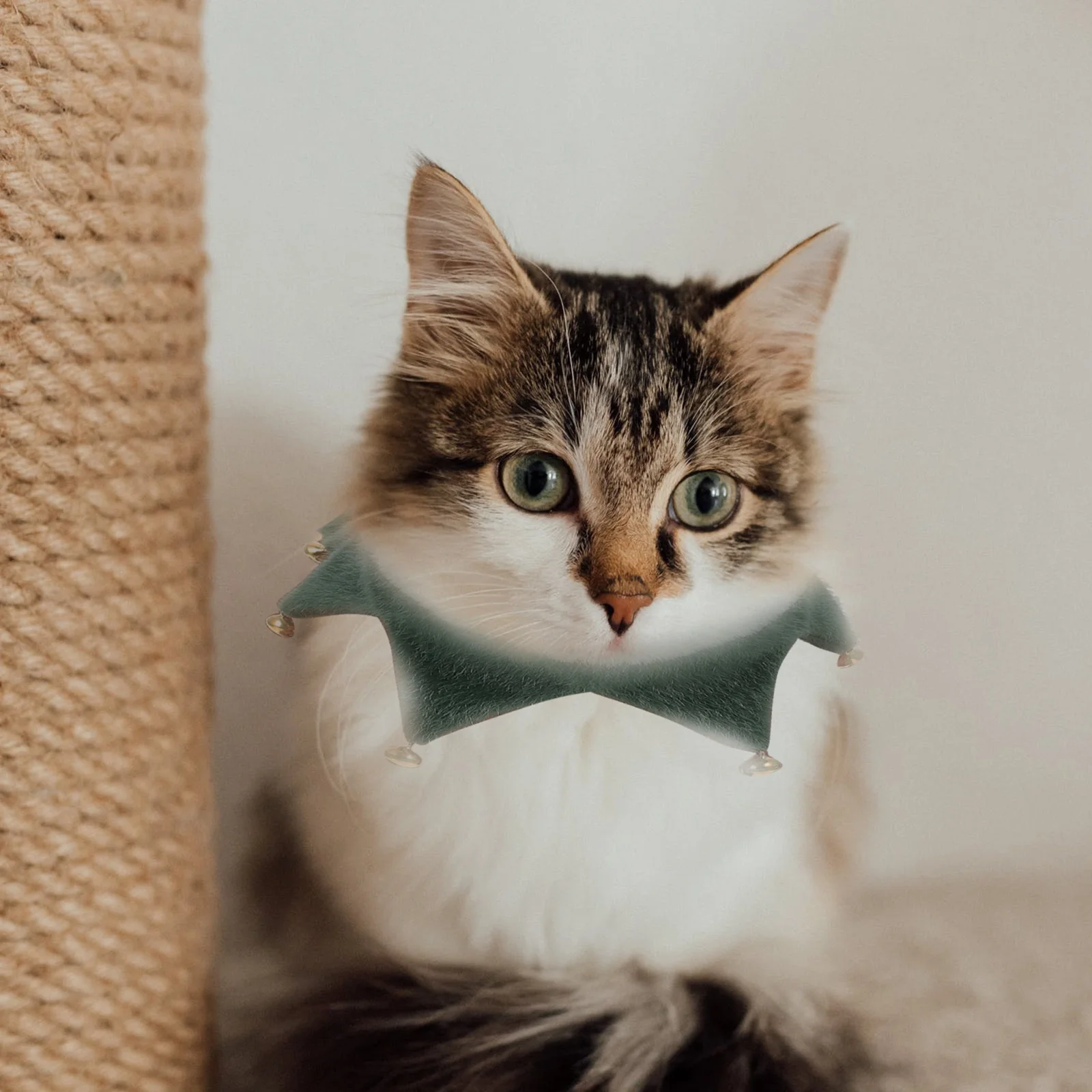 

Pet Bib Christmas Cat Scarf Dog Costume for Dogs Bandanas Cats Neck Decorate Holiday The