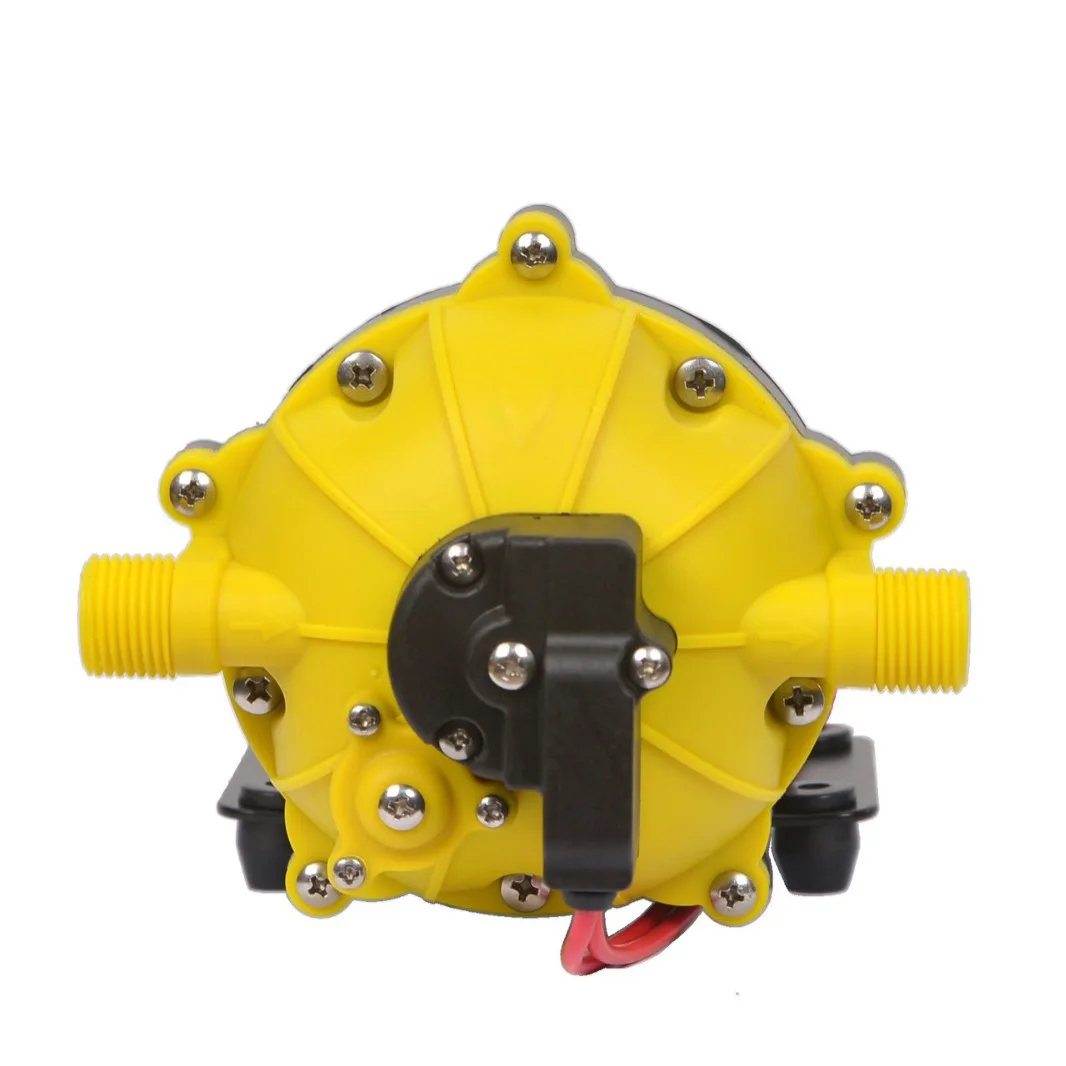 24V Electric High Pressure Spray Car Wash Diaphragm Micro DC, Self-priming Water Pump