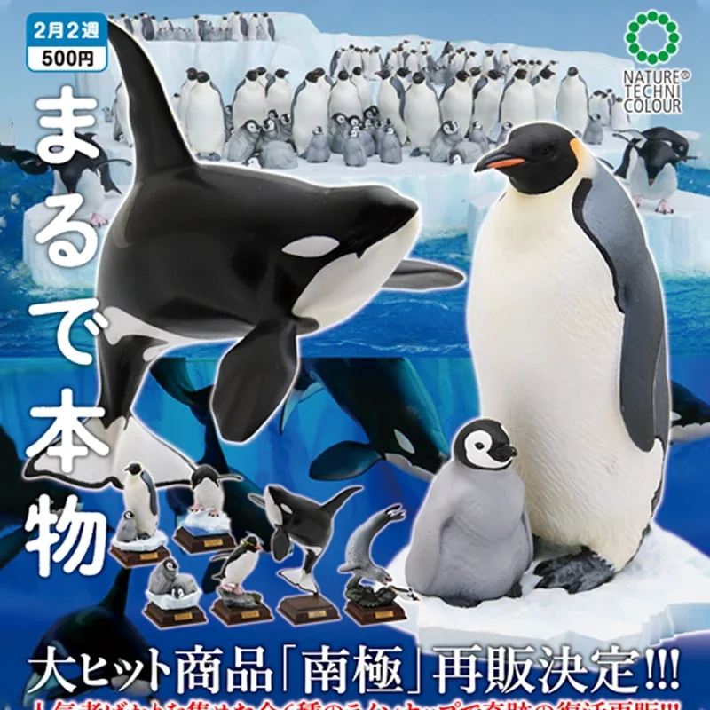 

KITAN CLUB Original Gashapon Capsule Toy Figure Kawaii Cute Antarctic Organism Penguinkiller Whale Miniature Figurine Anime Gift