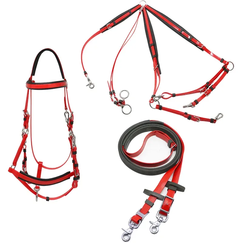 Weather-Resistant PVC Equestrian Horse Riding Bridle Rein Martingale Set Full Marathon Horse Metal Red White Green Nylon