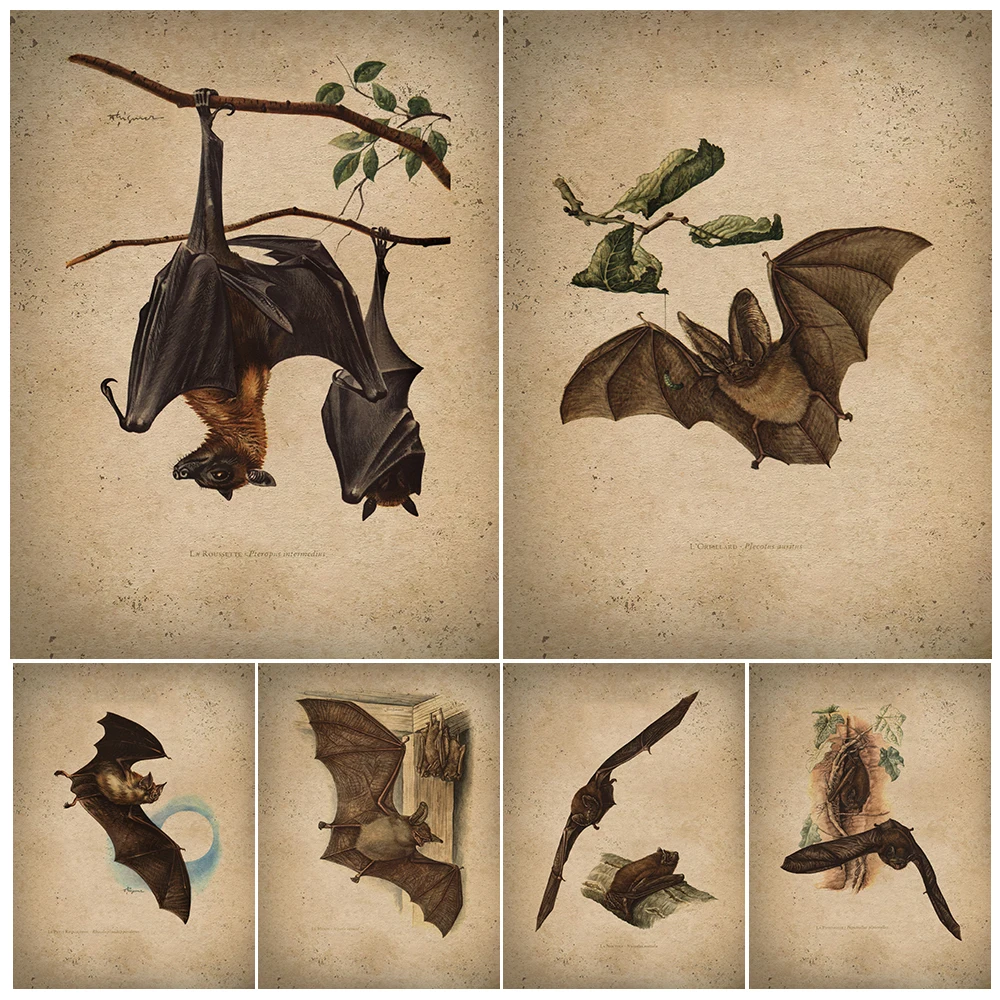 

1974 Bat Wall Art Canvas Print Nyctalus Noctula,Plecotus Auritus,Myotis Pteropus,Intermedius,Wild Fauna Art Poster Print Decor