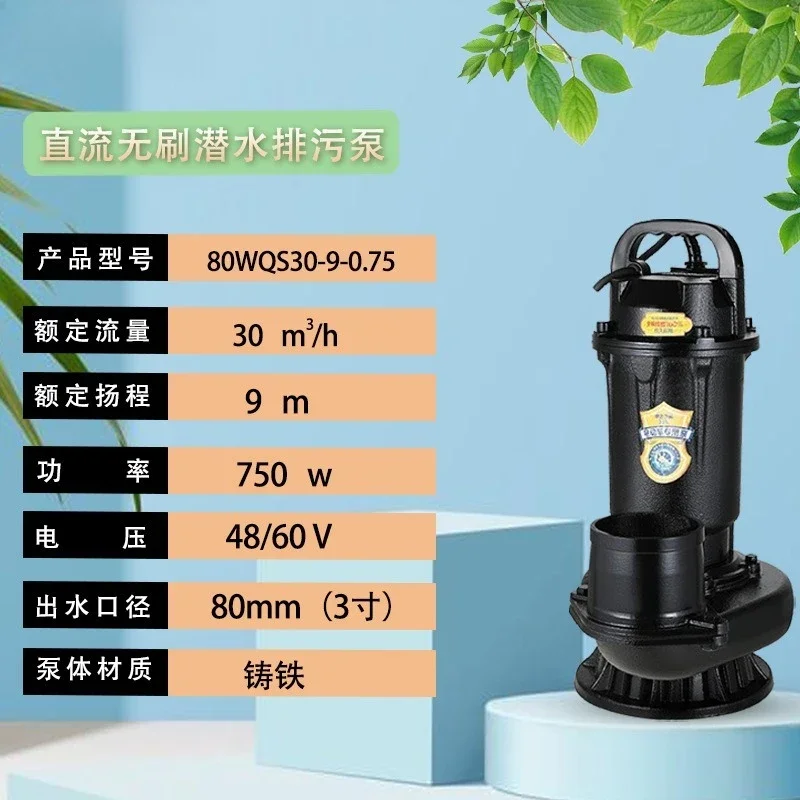 48V60v DC brushless solar 3 inch 4 inch large flow cast iron fish pond agricultural irrigation pumping sewage pump