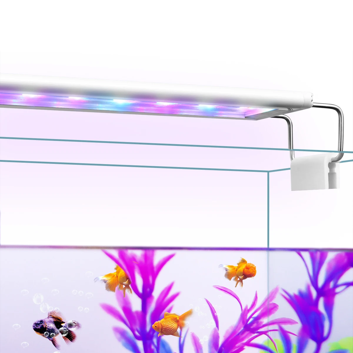 #27 Cheap Aquarium Decor Worth Buying