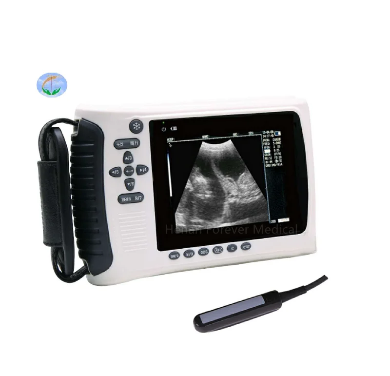 

hand held ultrasound scanner Animal Ultrasound Machine Medical Veterinary Ultrasound machine price for pet clinic