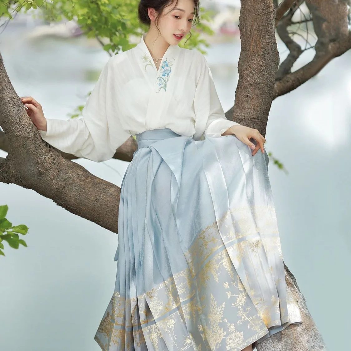 LIUTAOLONG Chinese Spring and Autumn women's Hanfu big skirt and horse face skirt set