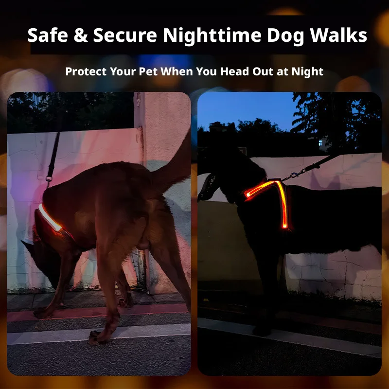 

New LED Glowing Luminous Dog Harnesses Essential for Dog Walking Safety At Night Dog Vest with 8 LED Light Modes Rechargeable