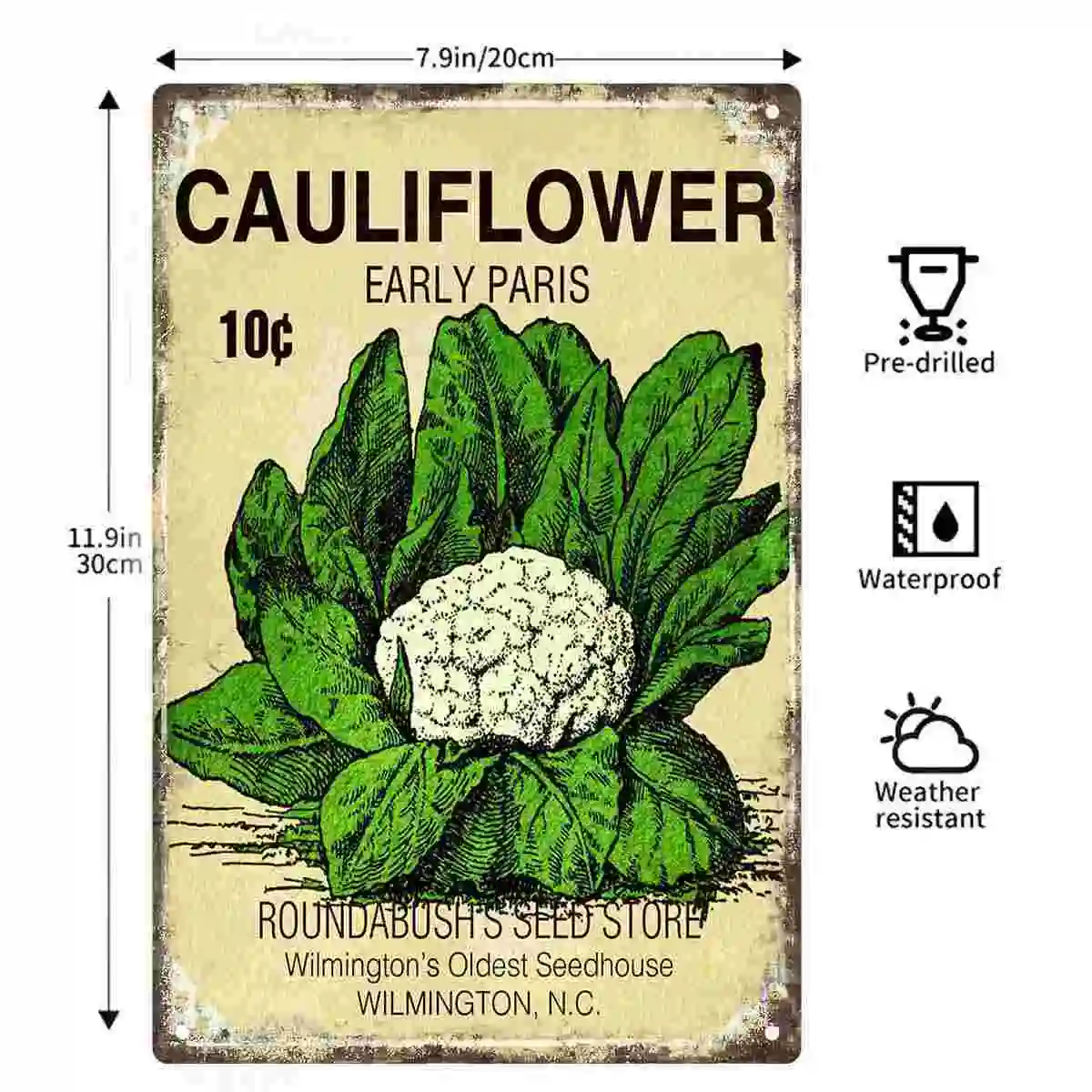 2D FLAT 1pc Vintage Cauliflower Early Paris Seed Packet Metal Wall Sign Decoration for Home Cafe Garage Bedroom Porch And Garden