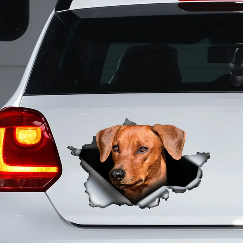 Calcomanía marrón para coche Pinscher, imán Pinscher, pegatina Pinscher