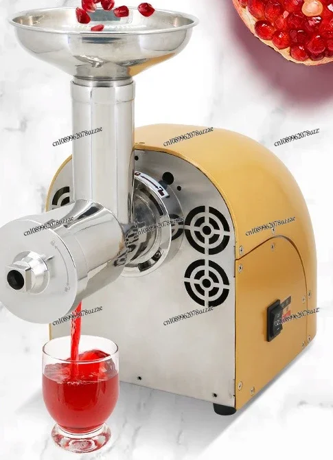 Multifunctional Electric Slow Juicer Easy Clean Fruit Vegetable Extractor for Daily Kitchen Use