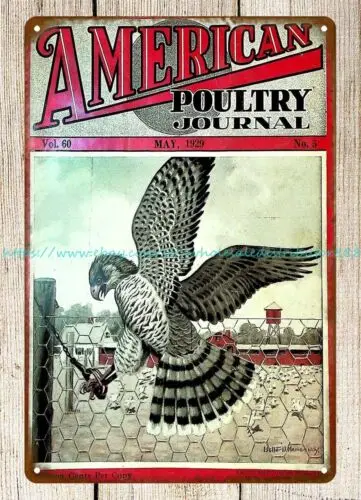 kitchen American Poultry Journal May 1929 Broilers Chickens Hens metal tin sign