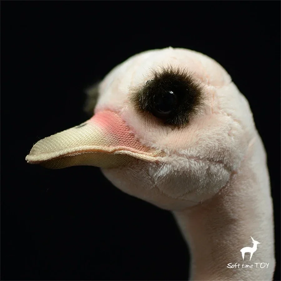 Ostrich Plush Toy Realistic African Ostrich Stuffed Animal Lifelike Struthio Camelus Plushie Desert Animal Simulation Doll Gifts