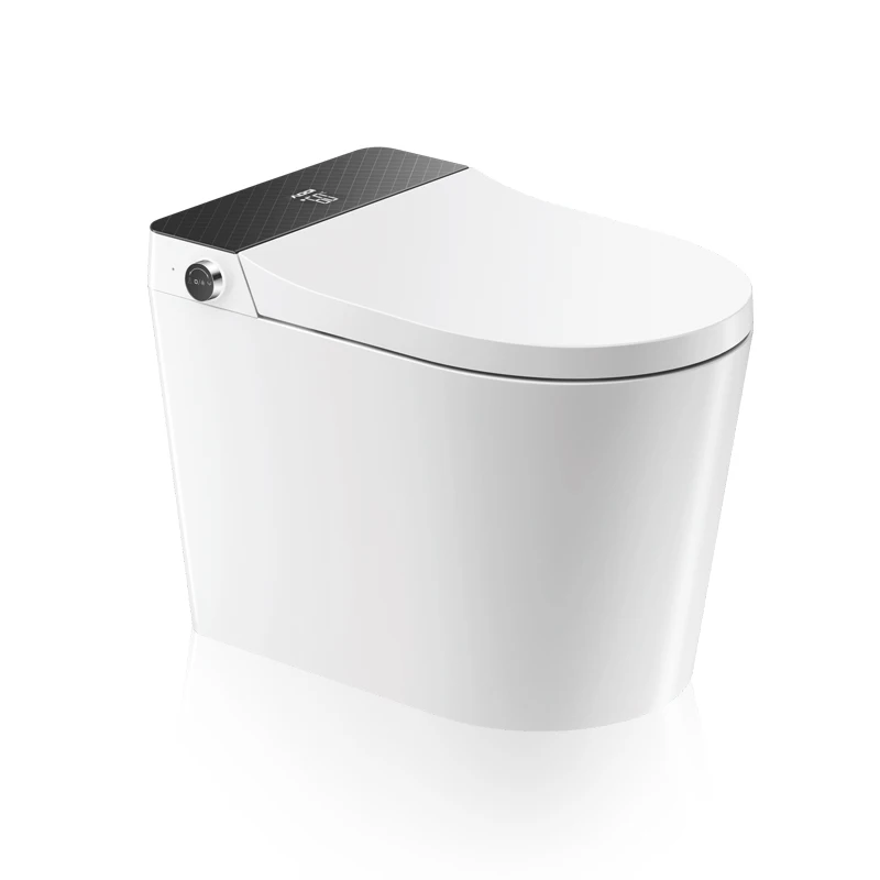 

Automatic Intelligent Smart Toilet Bathroom One Piece Bidet Toilet With Remote Control
