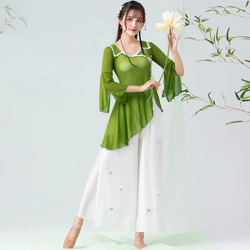 

New Classical Dance Gauze Female Training Clothes Chinese Traditional Dance Costumes Modern Standard Dance Clothing DQL5988