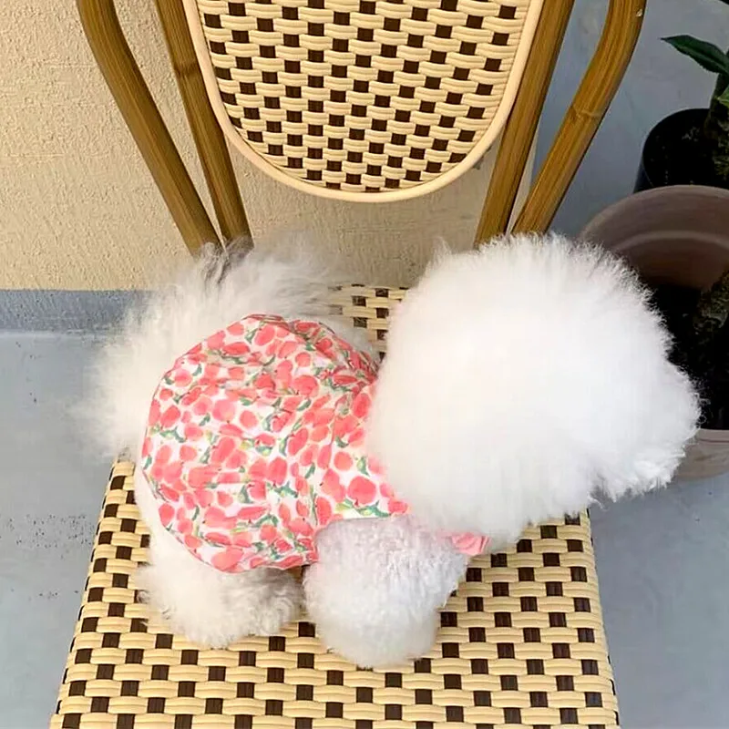 Soft Pet Princess Skirt Summer Dog Clothes Puppy Yellow Floral Dress Teddy Pullover Beau Beauty Peach Clothes Dog Accessories