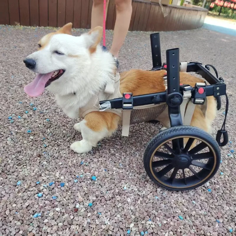 Dog wheelchair, pet wheelchair cart for dogs with disabled hind legs, mobility aid for rehabilitation and training