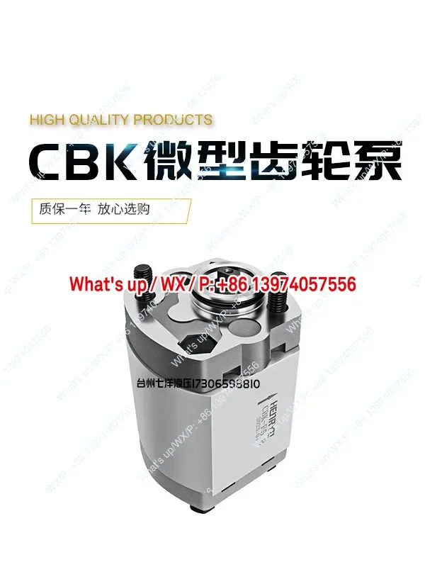 pompe-a-engrenages-1-piece-micro-pompe-a-engrenages-cbk-f21-f16-f32-f48-f68-f7-cbk-f80