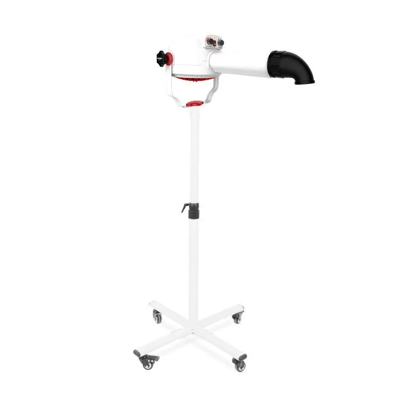 Pet Store Teddy Silent Cat and Dog Grooming Professional Negative Ion Vertical Large Hair Dryer