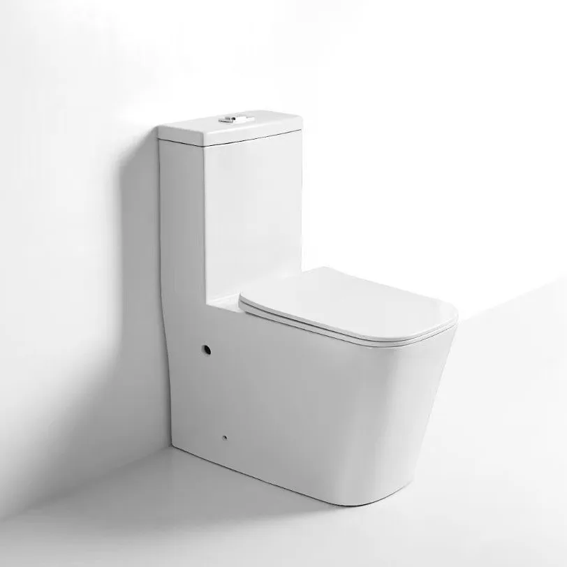 

Modern Style One Piece Dual-Flush P-Trap Toilet Bowl Porcelain Ceramic Floor Mounted Toilet