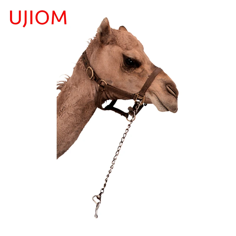 UJIOM 13cm X 7.9cm Cute Camel 3D Personality Wall Stickers Creativite Peeker Windows Decal Amusing Home Decoration Accessories