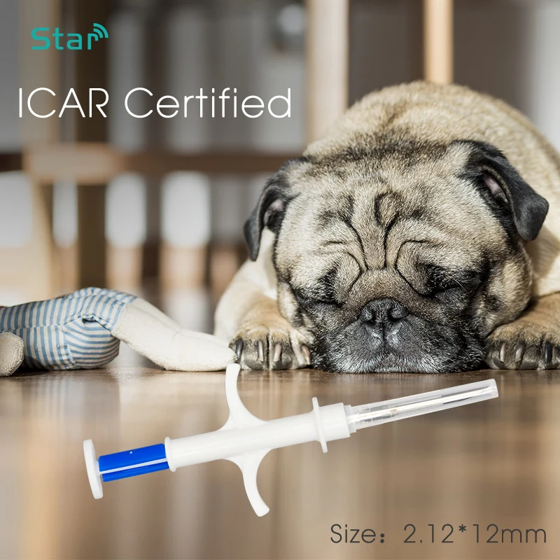 10pc ICAR numéro chien puce pet ID microchip ancre ISO11784/5 étiquette en verre avec implanteur 2.12x12mm 134.2KHz FDX-B seringue animale