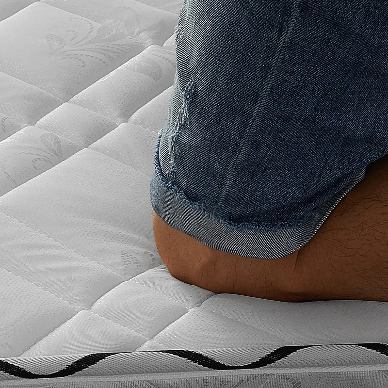 مرتبة نخيل جوز الهند، تأجير، شقة، مسكن، مرتبة