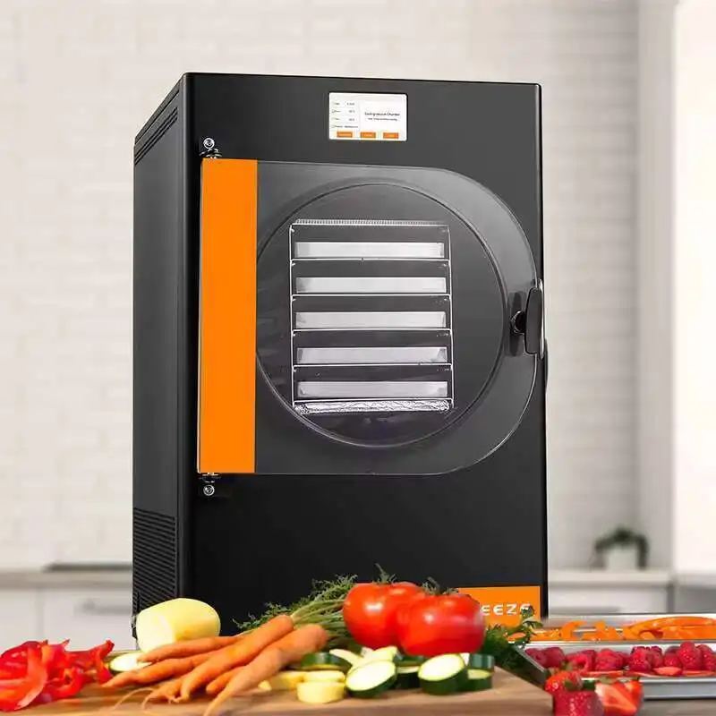 Automatic Freeze Dryer 6 Trays Home Lyophilizer Machine with Gear Pump Processing
