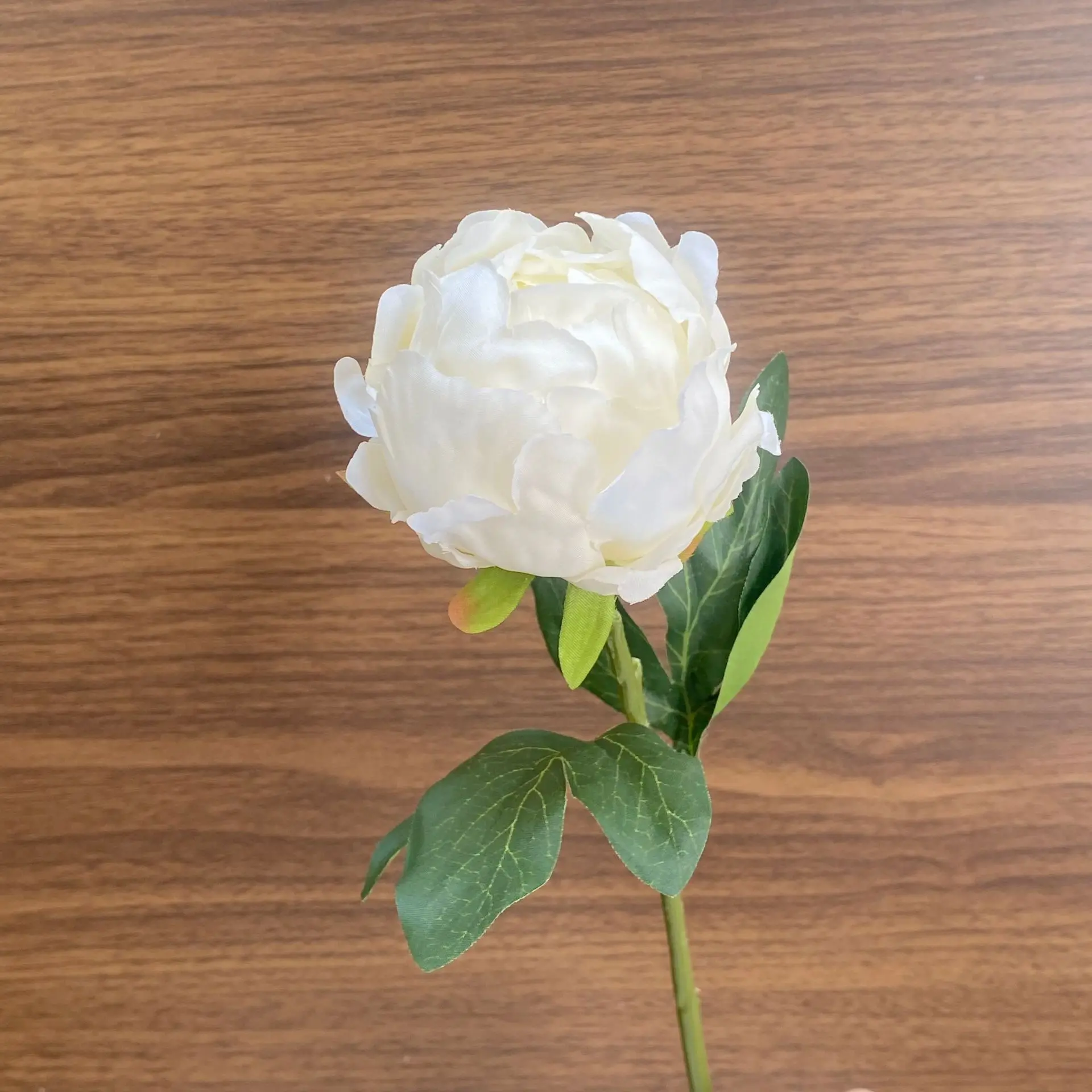 10 Stück Künstliche Pfingstrosenblüten aus Seide für Wohnzimmer-Dekoration, Hochzeits-Blumenarrangements, Fotografie-Requisiten, Pfingstrosen – Detail 9