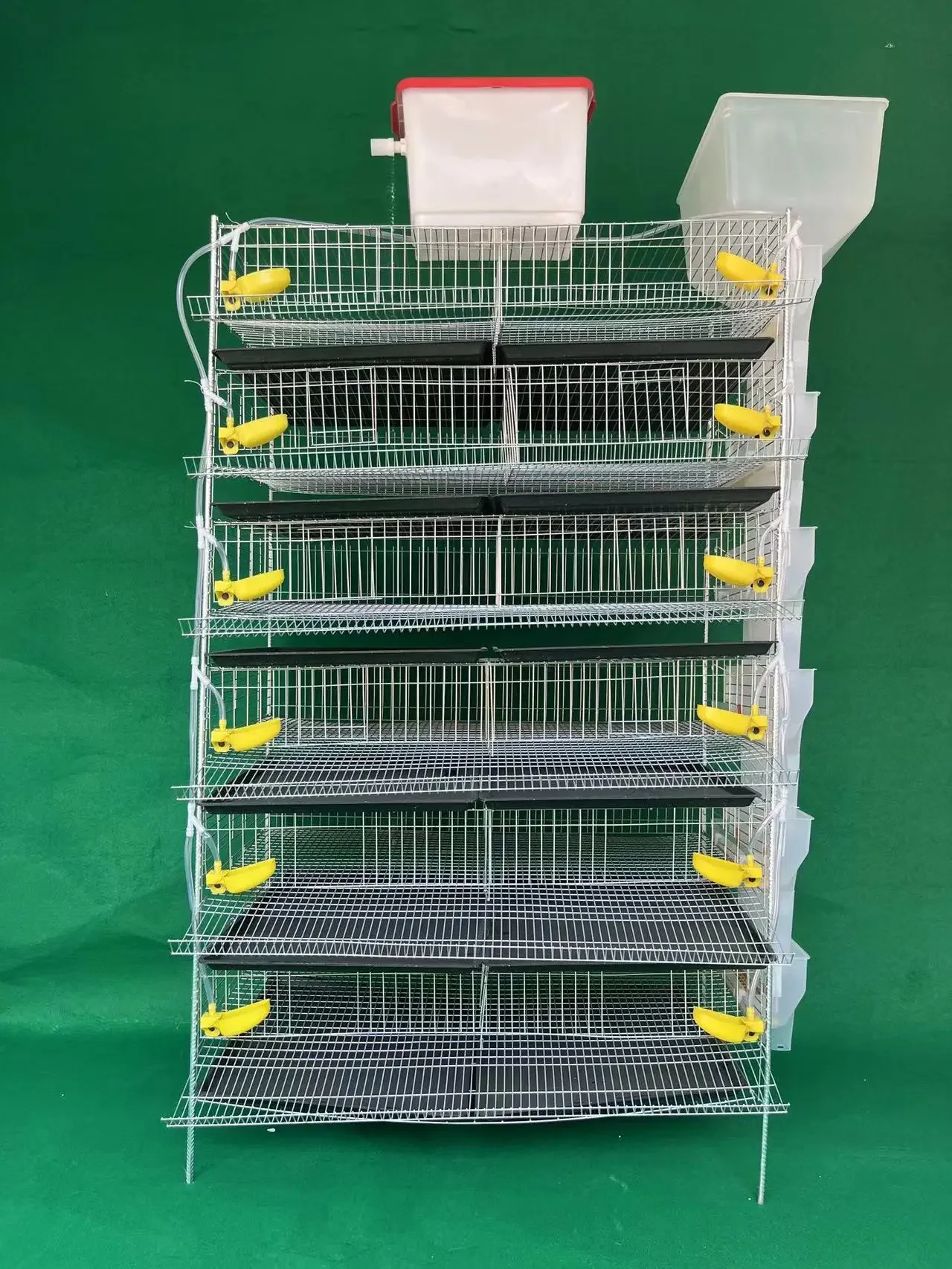 factory direct sale automatic feeding system layer quail cage for egg collection