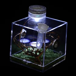 Micro Habitat Terrariums Spiders Jumping Breeding Box Miniature Carrier Clear Reptile Animals